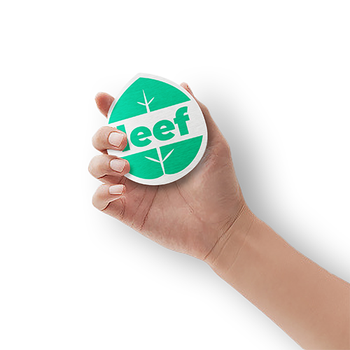 LEEF: Marque de chewing-gum